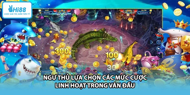Ngư thủ lựa chọn các mức cược linh hoạt trong ván đấu